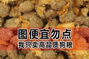 四个多月的泰迪宝宝适合吃哪种狗粮？（为宝宝健康成长选择合适的狗粮是关键！）