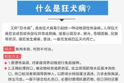 宠物狗打疫苗过敏，该怎么办？（如何预防宠物狗打疫苗过敏？——以常见疫苗及过敏症状为例）