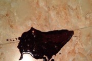 金毛神经质的食欲——吐得一塌糊涂（金毛犬“拒食”引发的健康问题）