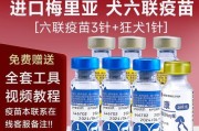 宠物狗的疫苗接种时间及重要性（宠物狗疫苗接种时间表及注意事项）