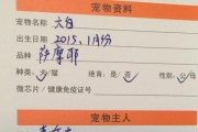 以萨摩生产的准备工作（打造高效的生产流程，提升产品质量和效率）