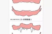 为什么我的狗狗不长牙？（探究狗狗长牙的原因及解决方法）