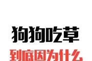 狗狗为什么会吃草？（从生理和心理角度分析，了解狗狗吃草的原因及如何正确应对。）