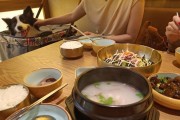狗不能以肉为主食的原因（探讨狗不能以肉为主食的科学依据和饮食平衡的重要性）