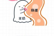 狗狗喝奶的好处（为你的爱宠提供全面营养的关键）