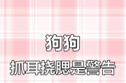 泰迪之谜（揭开泰迪狗体内寄生虫的神秘面纱）