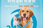 狗狗频繁打喷嚏的原因及应对方法（狗狗打喷嚏药物治疗的关键）