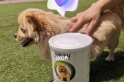 狗狗何时需要喂发育宝？（了解宠物成长的关键、健康成长的保证）