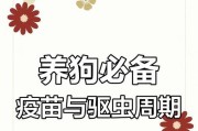 狗狗打完疫苗后多久可以驱虫？（疫苗注射后驱虫的最佳时机及注意事项）