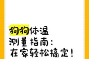 狗狗发烧（探究狗狗发烧测量频率的最佳实践方法）