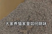 养猫久了家里怪味难题解决方法（除味小妙招助你恢复宜居环境）