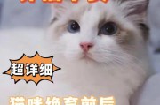 小狗结扎后的护理注意事项（为你的爱宠提供全面的结扎后护理）