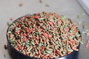 选择适合草龟的优质龟粮（科学选择龟粮，让草龟健康成长）
