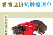 怎么给狗狗治感冒（选对药物是关键）