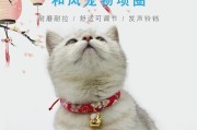 小猫咪戴铃铛的利与弊（宠物保护还是干扰？）