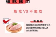 为什么猫不能吃某些食物（了解食物对猫的影响，守护它们的健康）