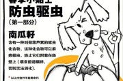 拉布拉多狗狗的驱虫药使用时间及注意事项（拉布拉多狗狗驱虫药的选择和使用时间表）