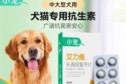 怎么给有发热和流鼻涕的狗狗用药（宠物护理的必备知识——药物治疗狗狗发热和流鼻涕）