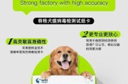 犬瘟热病毒及其区分和治疗方法（了解犬瘟热病毒，正确区分和有效治疗你的宠物）