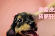 如何为狗狗洗澡以预防霉菌感染（选择正确的洗澡方式和产品是关键）