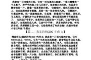 狗的毛色发黄的原因及解决方法（了解问题根源，让狗毛重新恢复健康亮丽）