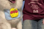 我的狗狗吃醋大作战（揭秘狗狗吃醋的五种可爱表现）