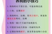 狗狗秋冬应该多久洗一次？（洗澡频率对狗狗健康的重要性）