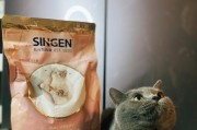 发育宝之选（深度解析发育宝品牌，帮您选择最适合宝宝成长的产品！）