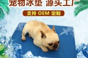 猫咪凝胶（以猫咪凝胶为保健品，让宠物健康快乐成长）