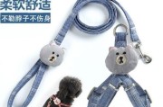 解决狗狗抗拒牵引绳问题的6步教程（让狗狗喜欢项圈和牵引绳的方法）