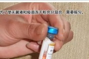 狗狗打疫苗，守护健康一生（了解疫苗重要性，提前预防疾病）