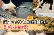 打了狗针后的饮食与用药注意事项（保护好宠物的健康，合理饮食与用药才是关键）