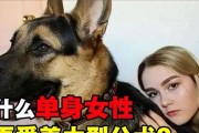 宠物大型犬中少叫的品种（了解大型犬的静默之道）