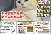 新手养猫必看！猫咪洗澡须知全解析（以宠物为主，让爱猫洗澡更放心）