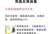 犬瘟（探索犬瘟的致命之处和挑战，揭示未来治疗的关键。）