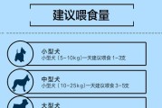 米格鲁猎犬的饲养方法（健康、快乐、爱心，打造完美的宠物生活）