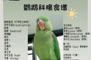 血鹦鹉鱼养护注意事项（七大注意事项助你打造健康血鹦鹉鱼水族箱）