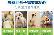 狗狗应该喝什么奶粉呢？（选择合适的奶粉，确保宠物健康）