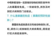 被狗咬伤后的正确处理方法（保护伤口、洗净伤口、止血措施、消毒处理、寻求医疗帮助）