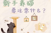 养猫咪要注意的事项（预防疾病，让猫咪健康快乐）