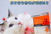 成年犬拉稀的治疗方法及药物推荐（探究成年犬拉稀的原因与治疗方案，了解适用的药物治疗）