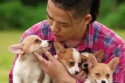 小狗多久可以出门？（了解小狗出门时间的重要性）