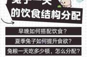 兔子产后喂奶的时间和方法（科学喂养有助兔宝宝健康成长）