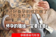 猫咪怀孕的注意事项（保障猫咪健康，顺利度过怀孕期）