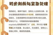 如何处理狗吃上火的问题（有效方法帮助狗舒缓上火症状）