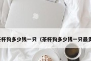 宠物感冒怎么办？15种食疗方法让你轻松解决（以喜乐蒂感冒吃什么？）