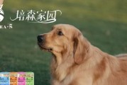 小狗喜欢的食物的原因（了解小狗喜欢的食物的背后原因）