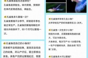 孔雀鱼烂尾巴的原因及预防措施（探究孔雀鱼为什么会出现烂尾巴，并提供有效的预防方法）