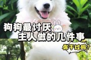 新家狗狗养成不能做的事情（了解狗狗习惯，为其提供舒适的新家环境）