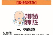 兔子怀孕的一切（兔子繁殖的基本知识与护理技巧）